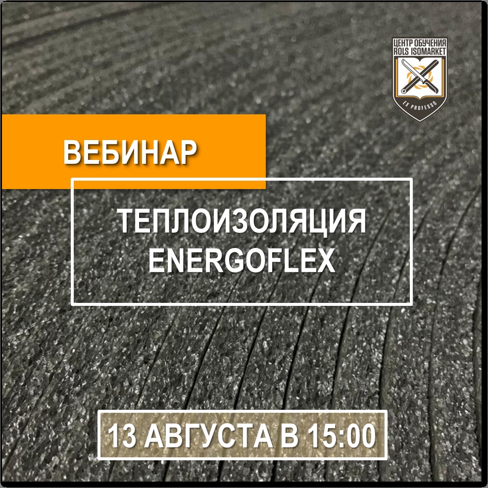 Webinar of ROLS ISOMARKET Traning Center on August, 13